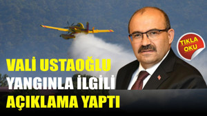 Balıkesir Valisi İsmail Ustaoğlu Yangına İlişkin Açıklama Yaptı