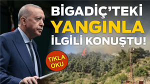 Cumhurbaşkanı’ndan Balıkesir Yangınına İlişkin Açıklama