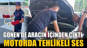 Aracın Kaputunda Yılan Tehlikesi