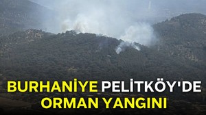 Burhaniye Pelitköy'de Orman Yangını
