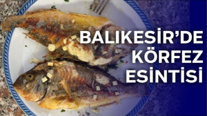 Balıkesir'in Körfez Balıklarıyla Sofrada Ege Esintisi