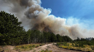 Balıkesir Sındırgı'da çıkan orman yangınına müdahale ediliyor