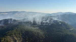 Balıkesir'de çıkan orman yangınına müdahale ediliyor
