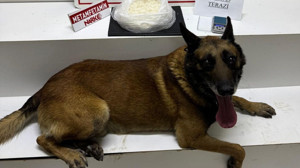 Edremit'te Cash'in yardımıyla 1 kilo 156 gram metamfetamin ele geçirildi