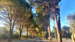 Şehrin Kalabalığından Huzura Kaçış Noktası Güre Köy Yolu