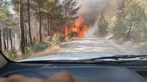 3 Mahallede Çıkan Orman Yangını Korkuttu
