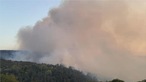 Altıeylül’de Orman Yangınına Müdahale