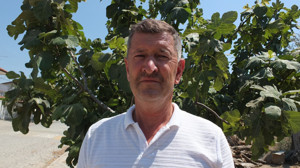 Oturduğu Cadde'yi Meyve Ağaçları İle Donattı.