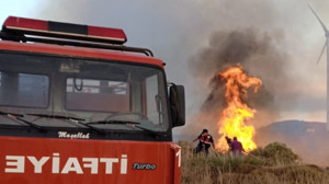 Balıkesir'deki Paşalimanı Adası'nda çıkan arazi yangını kontrol altına alındı