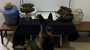 Gönen’de Uyuşturucu Operasyonu: 1 Kilo 565 Gram Esrar Ele Geçirildi
