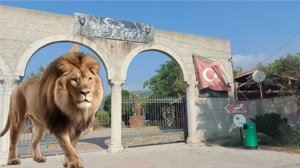 Balıkesir’de Hayvanat Bahçesi Var mı? Nerede, Nasıl Gidilir?
