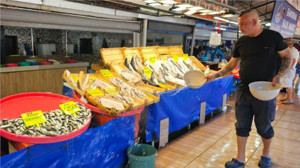 Balıkesir’de Balık fiyatları cep yakıyor mu?