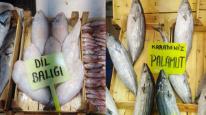 Bandırma Balık Hali'nde Sezon Hareketliliği: Fiyatlar Yüz Güldürüyor