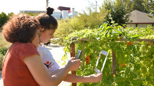 BAÇEM'de Yeni Proje: Kırsaldan Kozmosa Bilim
