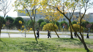 Balıkesir Üniversitesi’nde Bölümüne Göre Kampüs Tüyoları