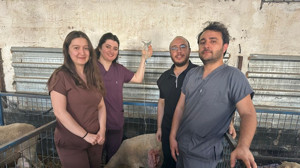 Balıkesir Üniversitesi'nden Hayvancılığa Bilimsel Destek