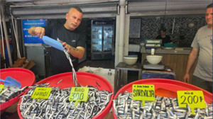 17 Eylül 2025 Balıkesir'de Balık Fiyatları