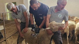 Kepsut Belediyesi’nden 30 Eylül’deki Hizmet Seferberliği