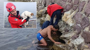 Balıkesir’de Köpek Kurtarma Anları! İtfaiye Böyle Kurtardı