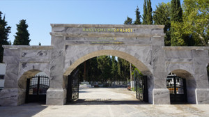 Mezarlıklara Neden Selvi Dikilir?