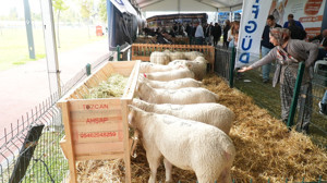 Balıkesir Tarım ve Hayvancılık Fuarı ziyaretçi rekoru kırdı