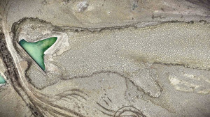 Bursa'da kuraklık iki barajı kuruttu