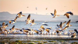 Kartpostallık Görüntüler Balıkesir’den