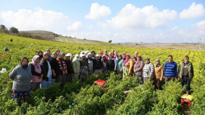 Vali Ustaoğlu Dünya Kadın Çiftçiler Günü'nde kadın üreticilerle buluştu