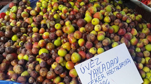 İki Yılda Bir Yetişiyor, Balıkesir'de Çürüyünce Tüketiliyor