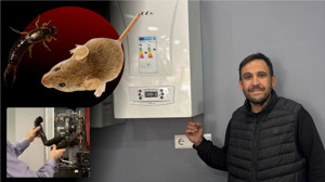 Balıkesir'de Kombiden Çıkan Fare Korkuttu! Uzmanı Uyardı