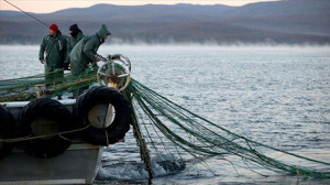 Balıkesirli Balıkçılara Müsilaj Desteği Geliyor! İlave Ödemelerin Detayları Belli Oldu