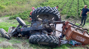 Traktör Devrildi: Poşetteki Domatesler Dikkat Çekti