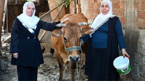 Karadeniz’de Kadın ve İneğin Kültürel Bağı