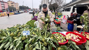 Balıkesir’de En Çok Satılan 3 Enginar Türü