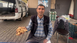 Balıkesir'de Sağlık Dostu Yer Elması Tezgahta