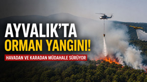 Ayvalık Çamoba’da Orman Yangını: 2 Uçak ve 1 Helikopter Müdahale Ediyor