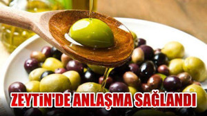 ZEYTİN’DE ANLAŞMA SAĞLANDI