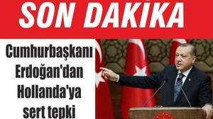 Erdoğan'dan Hollanda'ya sert tepki