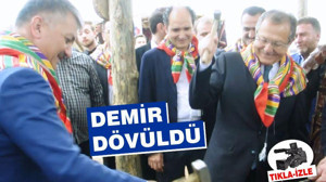 DEMİR DÖVÜLDÜ