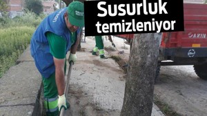 Susurluk temizleniyor