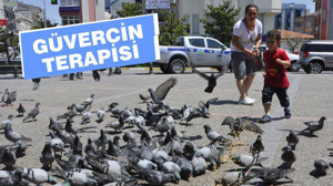 GÜVERCİN TERAPİSİ