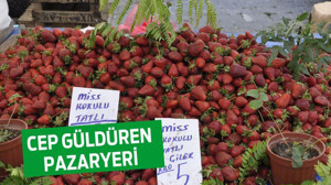 CEP GÜLDÜREN PAZARYERİ