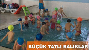 KÜÇÜK TATLI BALIKLAR