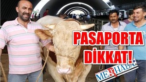 PASAPORTA DİKKAT!