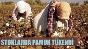 STOKLARDA PAMUK TÜKENDİ