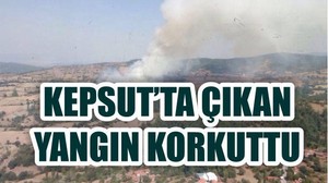 Kepsut'ta Orman Yangını