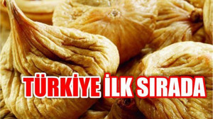 En Çok İnciri Almanya’ya Sattık