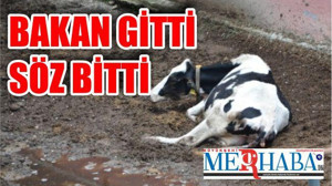 BAKAN GİTTİ SÖZ ÖLDÜ