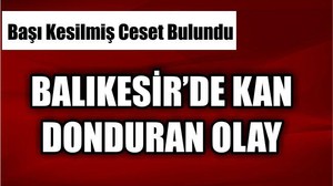 Zeytinlikte Başı Kesilmiş Erkek Cesedi Bulundu