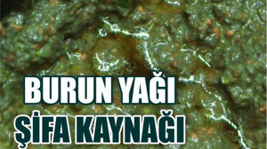 Çiğ Burun Yağı Şifa Kaynağı